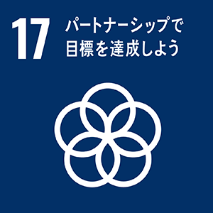 17: パートナーシップで目標を達成しよう