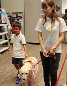 盲導犬PR犬との体験歩行