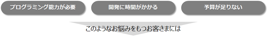 デジタル化への課題（プログラミング能力、開発に時間がかかる、予算が足りない）