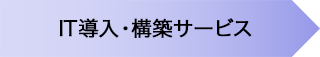 IT導入・構築サービス