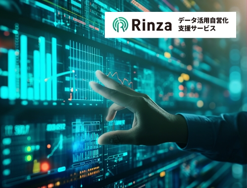 データ活用基盤構築 Rinza データ活用自営化支援サービス