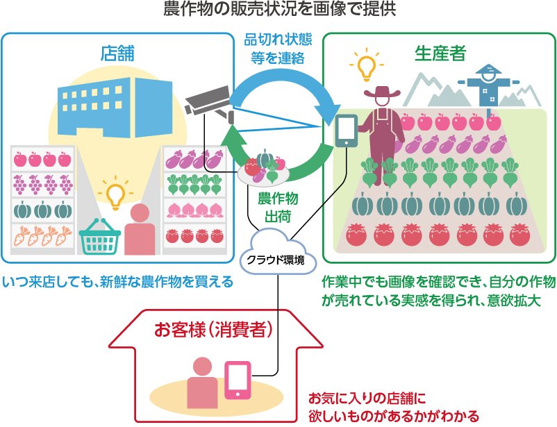 つながるファーマーズ：農作物の販売状況を画像で提供