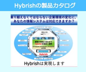 Hybrishの製品カタログ