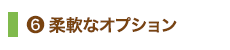 6.柔軟なオプション