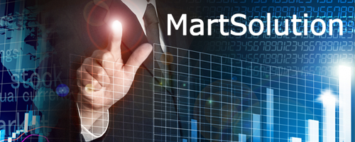 情報系構築支援ツール「MartSolution」