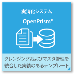 実消化システムOpenPrism クレンジングおよびマスタ管理を統合した実績のあるテンプレート