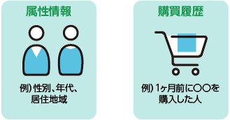 セグメント設定：属性情報、購買履歴