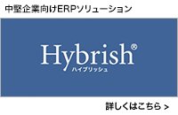 中堅企業向けERPソリューション Hybrish