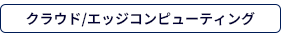 クラウド/エッジコンピューティング