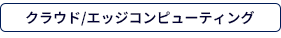 クラウド/エッジコンピューティング