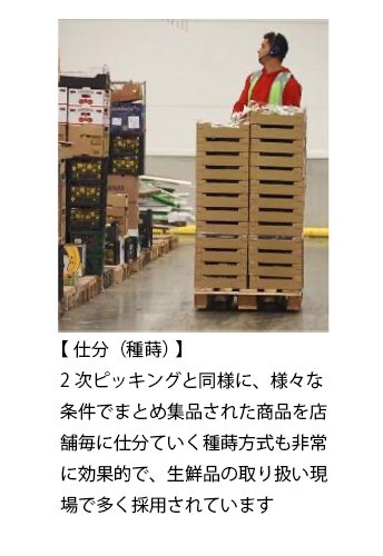 【 仕分（種蒔） 】 2次ピッキングと同様に、様々な条件でまとめ集品された商品を店舗毎に仕分ていく種蒔方式も非常に効果的で、生鮮品の取り扱い現場で多く採用されています。